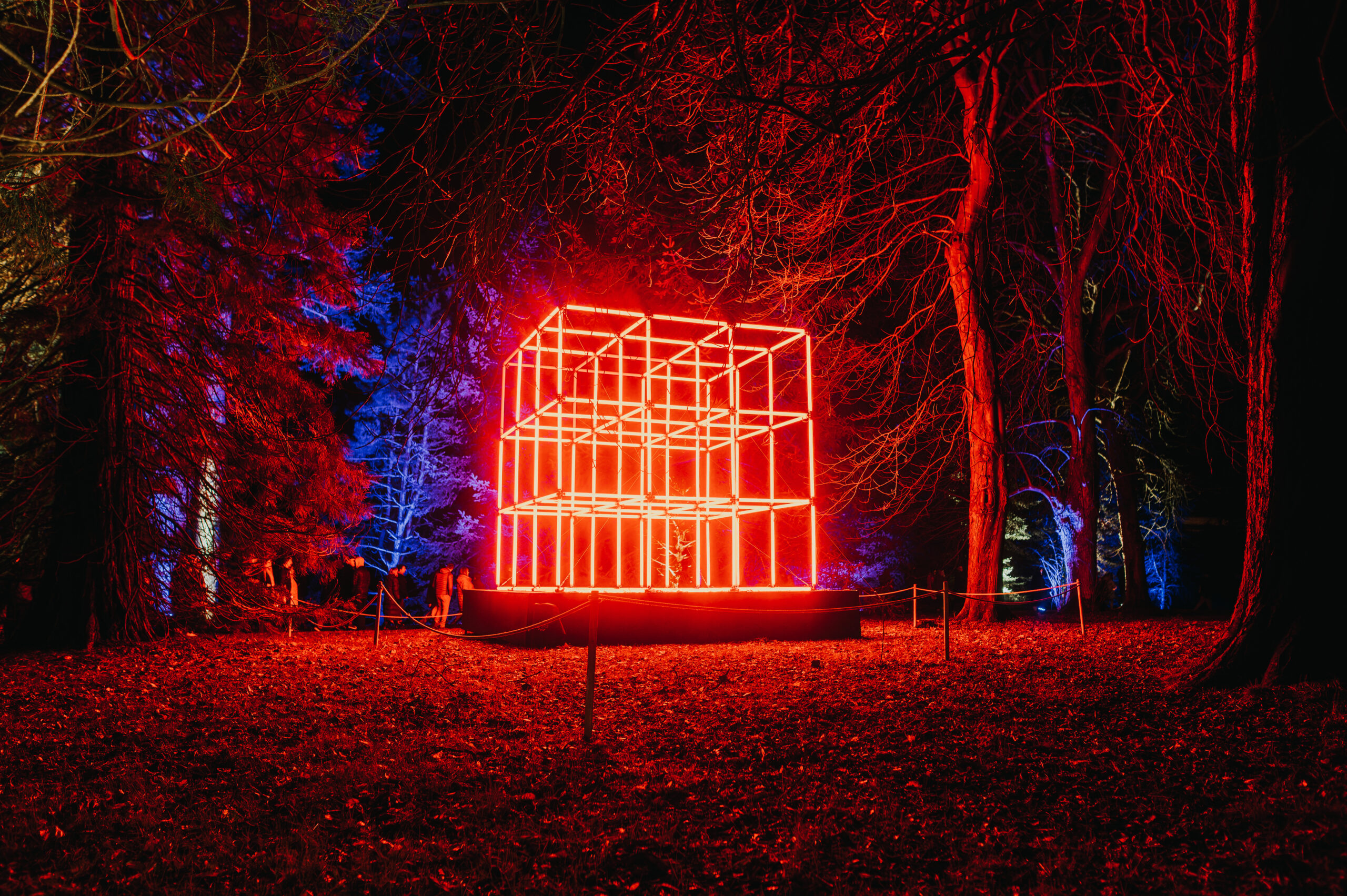 Installation view of Rubix modular geometric light sculpture.